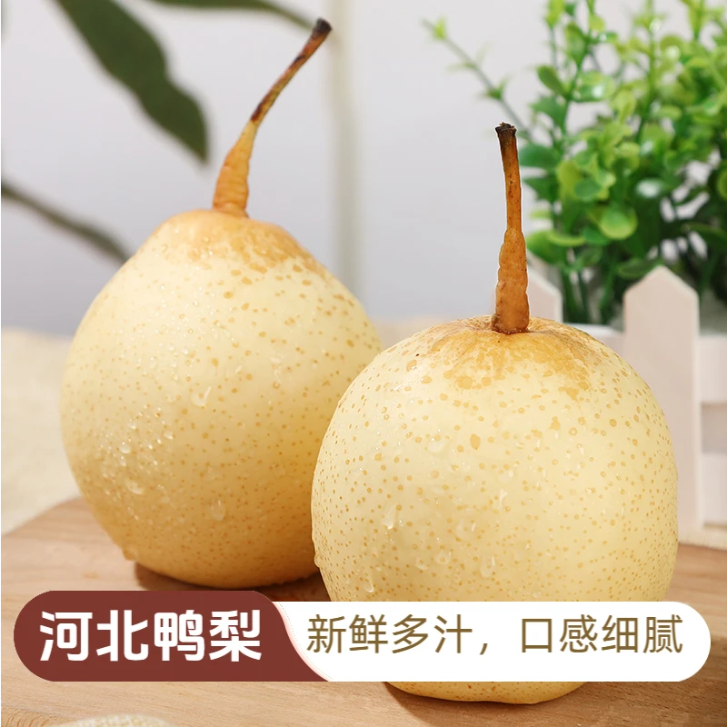 河北新鲜水晶鸭梨应季水果皮薄多汁甜脆爽口