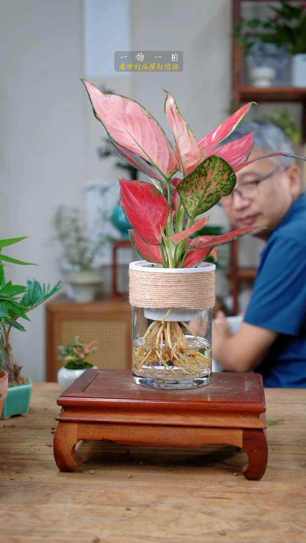 完全开放?***天如意303