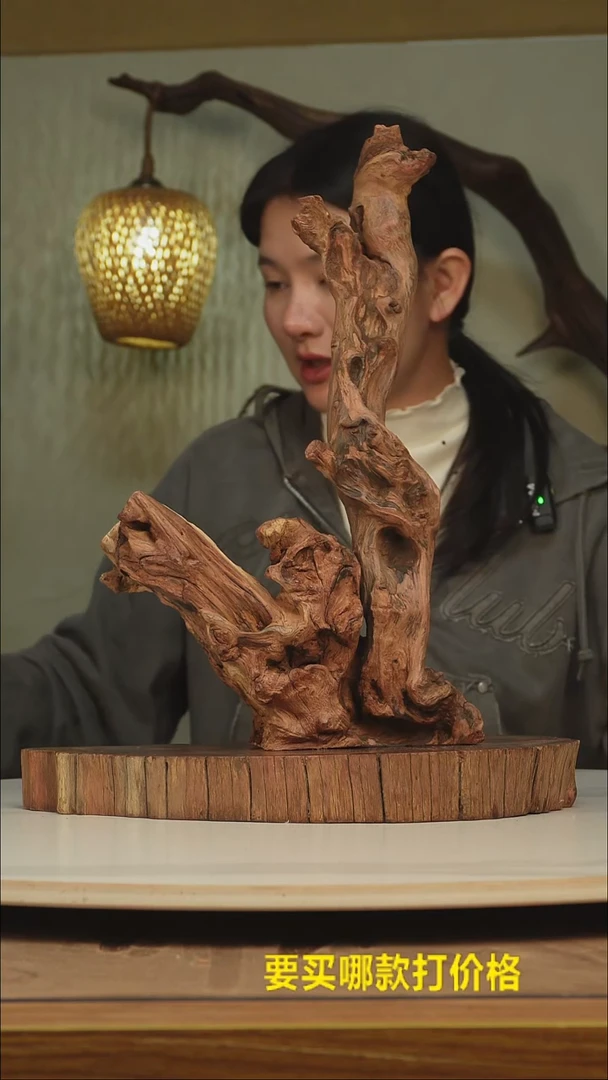 木林*根雕摆件类810
