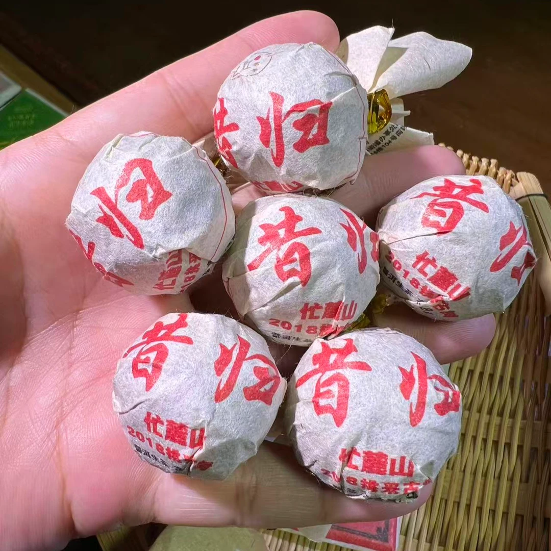 【18年昔归忙麓山】 古树挑采龙珠