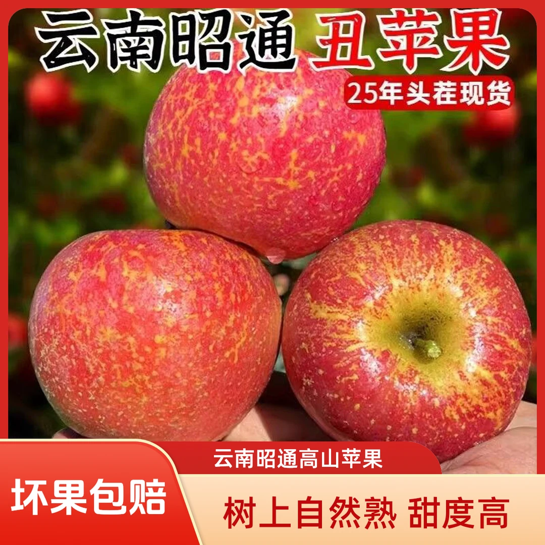 云南昭通苹果高山丑苹果孕妇水果新鲜采摘甜脆多汁带冰糖心苹果