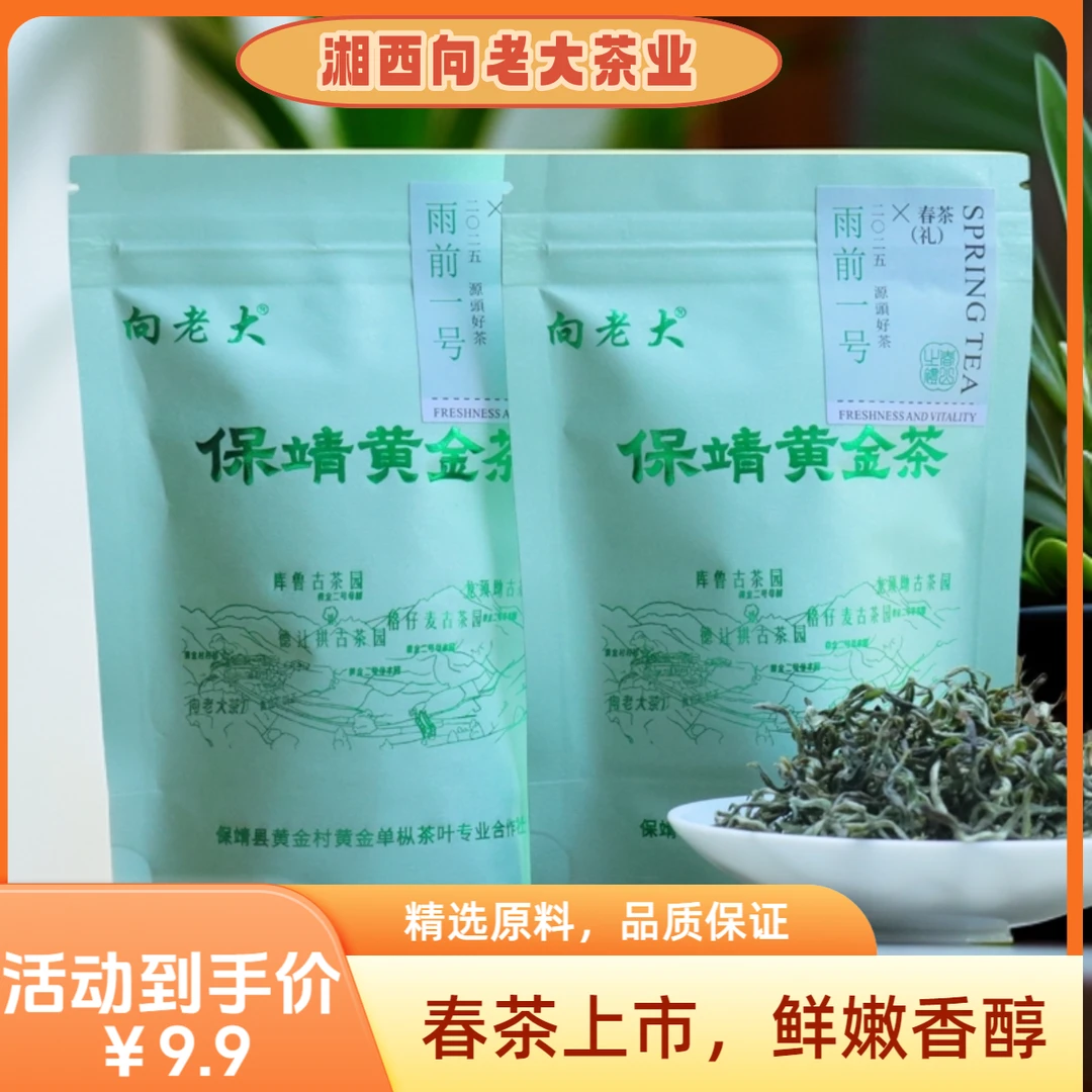 保靖黄金茶正宗2025新茶春茶浓郁耐泡春芽高山一号办公室口碑绿茶