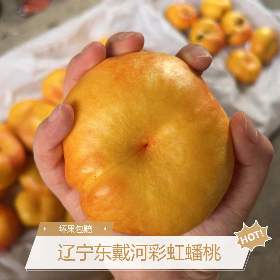 【辽宁东戴河】正宗黄金蟠桃新鲜水果现摘当季时令小桃子坏果包赔