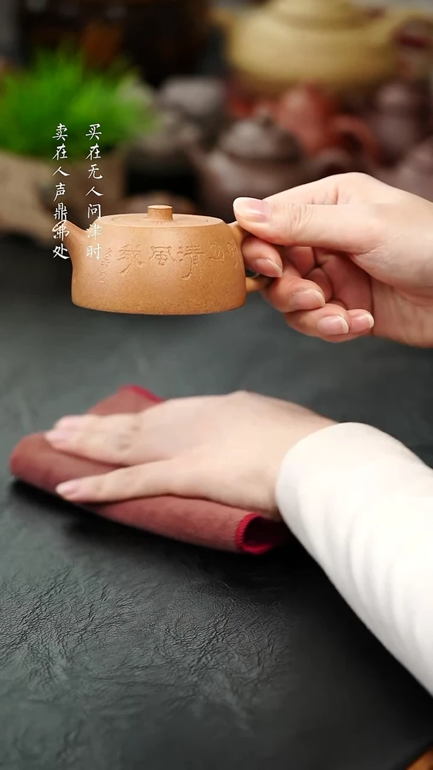 茶壶紫砂动**锅张俊峰申锡井栏