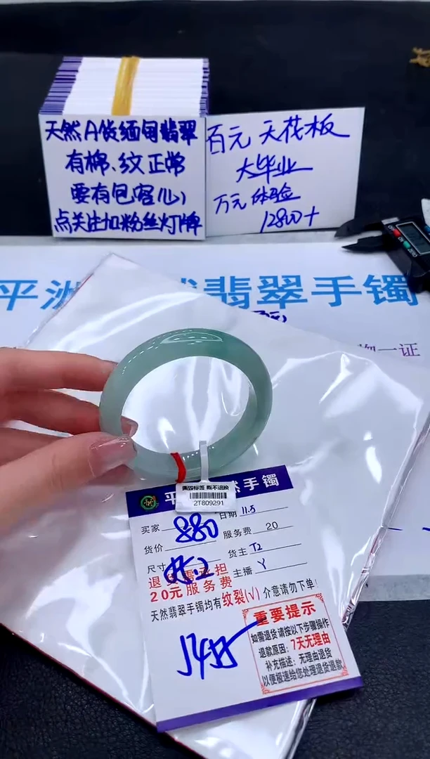 未镶嵌手镯翡翠1111111111