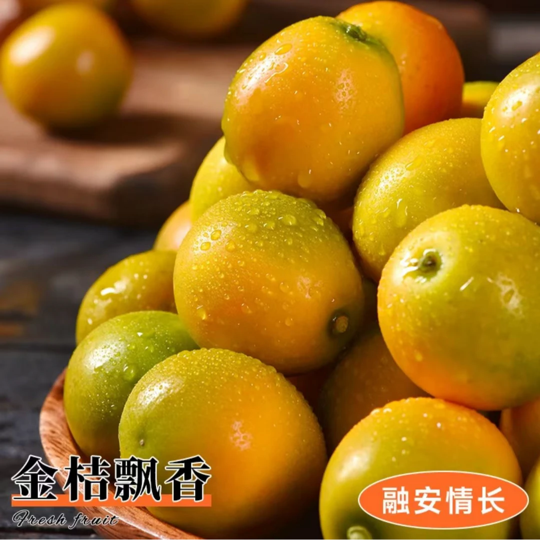 【自留推荐】广西融安脆蜜金柑2盒/4盒精美礼盒装L