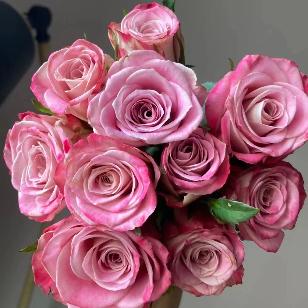 套餐29  方德经典玫瑰10支+粉紫绣球一支+紫精灵康乃馨20支