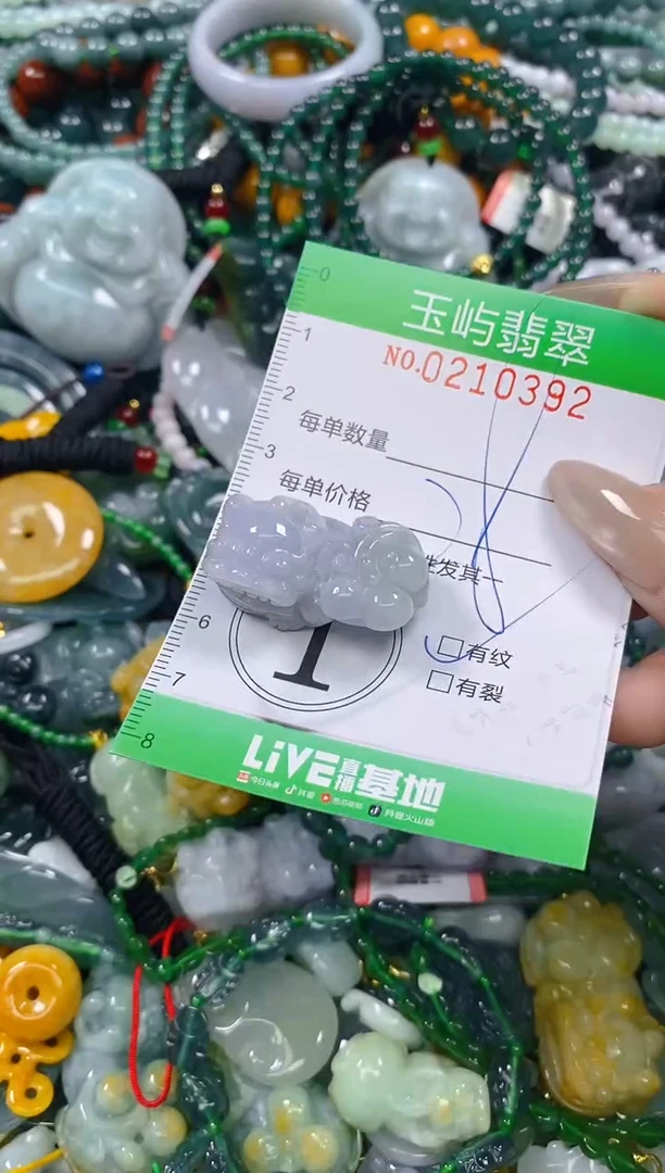 颈饰未镶嵌翡翠闪购0210392