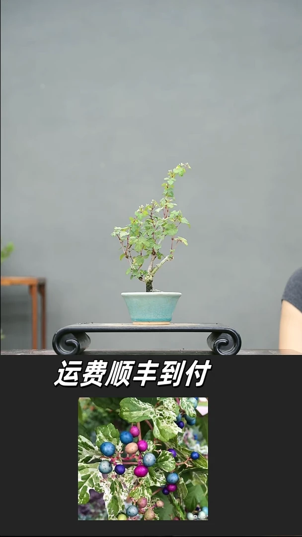 梁*61