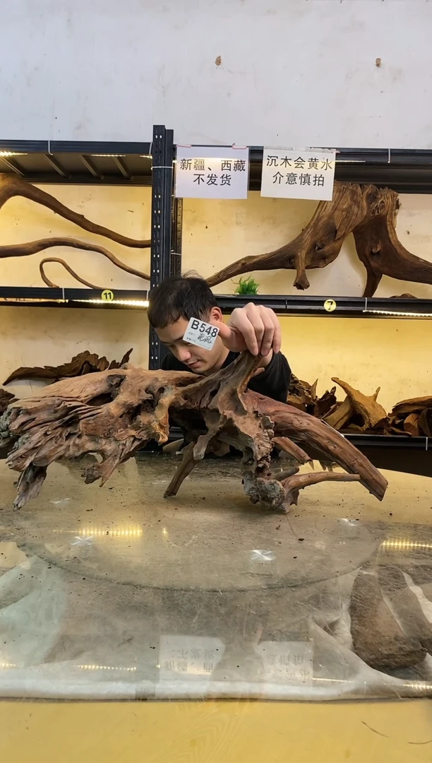 【闪购商品】柚木木艺298鱼缸造景素材不沉水