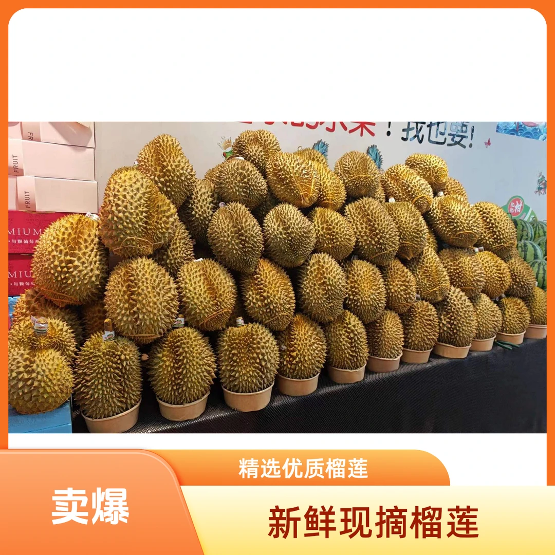 一物一拍【数字对应榴莲价格】