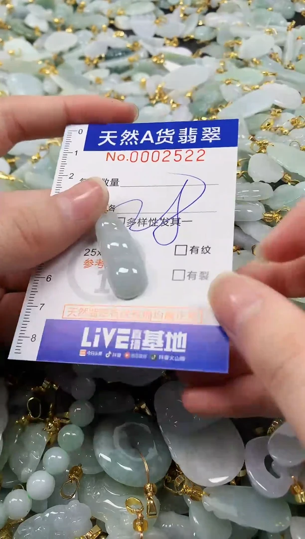 颈饰未镶嵌翡翠纯天然a货翡翠
