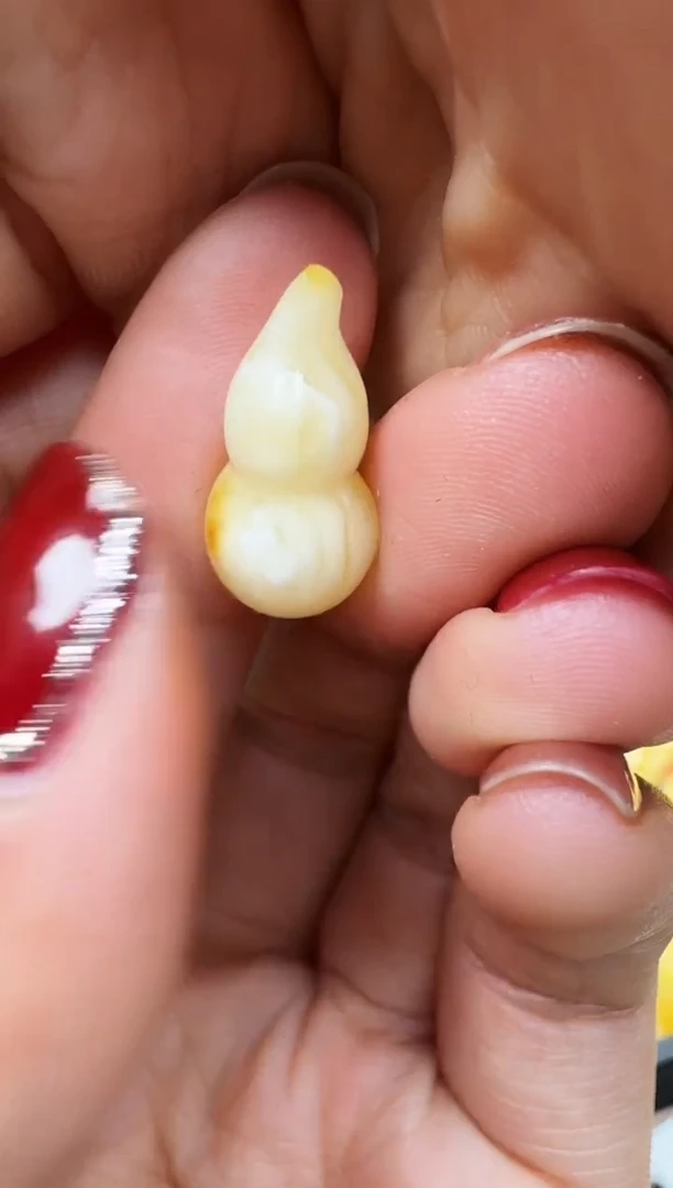 【闪购商品】琥珀裸石未镶嵌葫芦