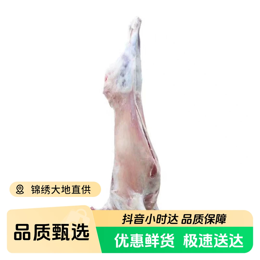 宁夏滩羊（整只发货）