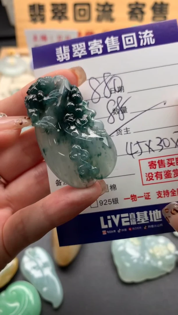 翡翠未镶嵌颈饰10128802