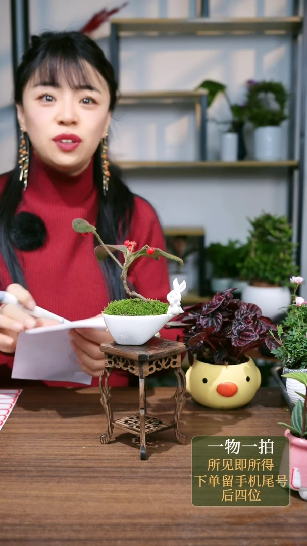 【闪购商品】7--8062虎舌红兔子