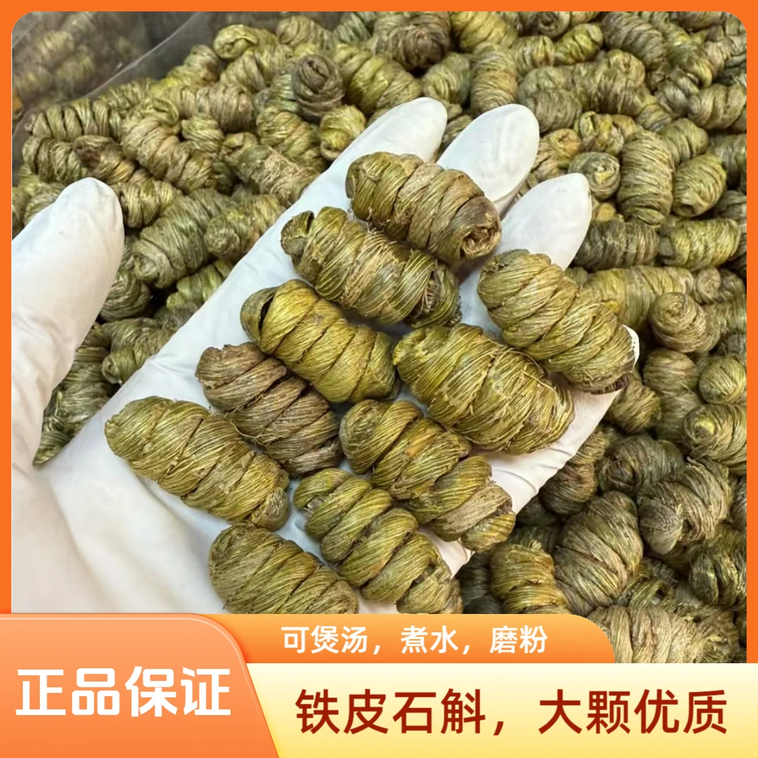 铁皮石斛大颗枫斗胶质饱满营养滋补煲汤煮水正宗石斛可代磨粉