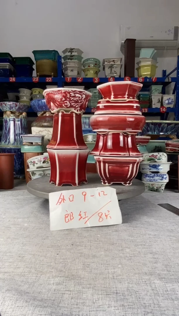 252513八只郎红花盆