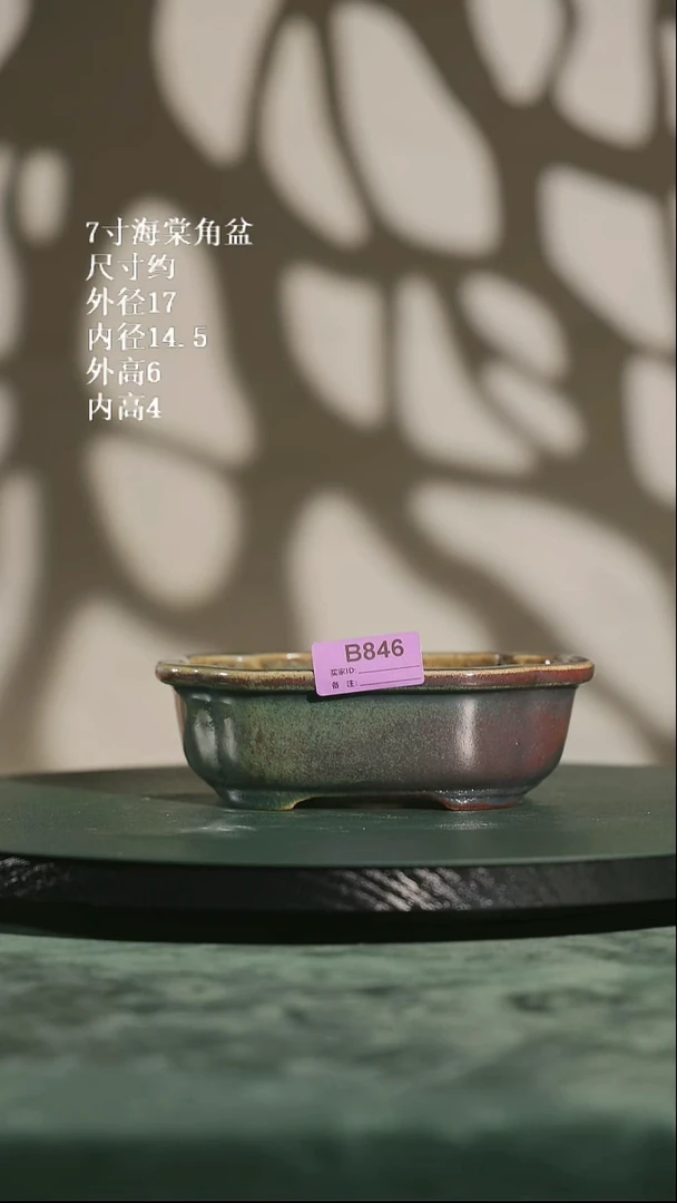 7寸海棠角盆 846