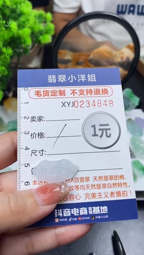 定制翡翠未镶嵌毛货商品不退换/ 4848