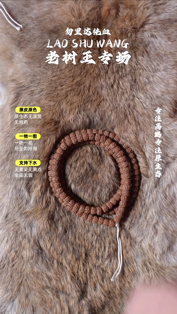 手串金刚菩提龙108