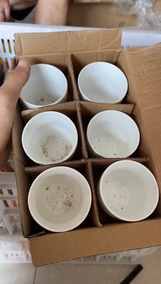 无运费险有瑕疵的摄影的产品有使用过的痕迹有点脏介意勿拍