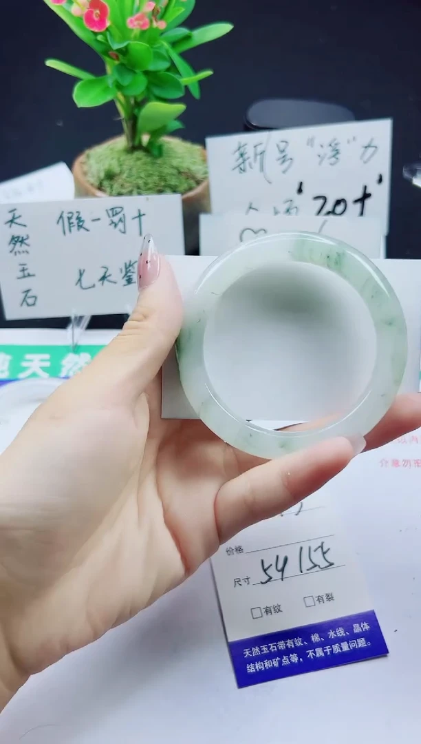 未镶嵌手镯石英质玉243-54/55