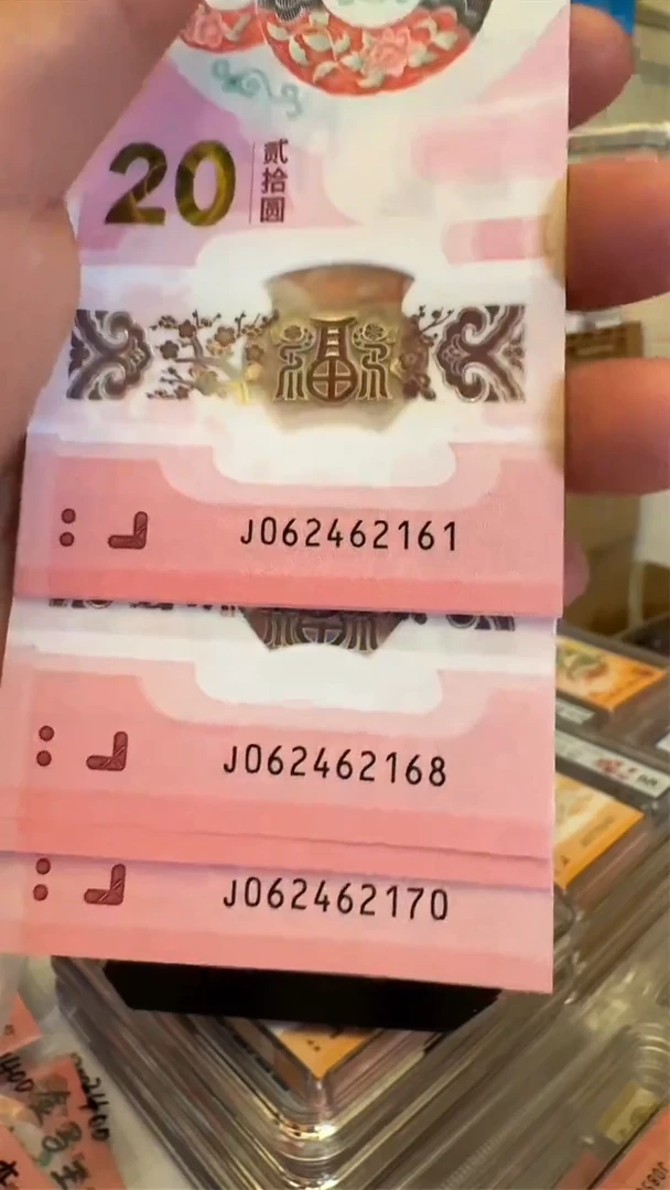 塑料蛇钞标十号码062462161-170