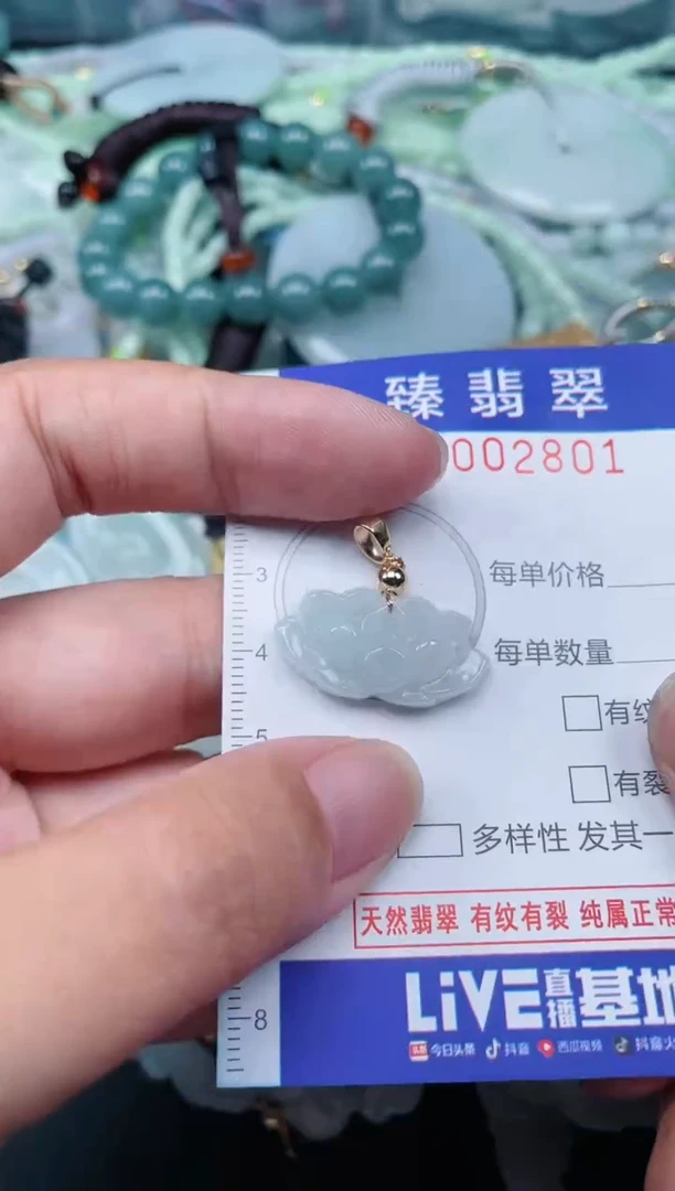 翡翠未镶嵌颈饰.0002801