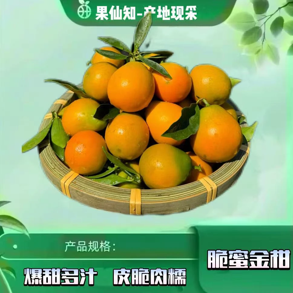【空运-脆蜜金柑-超大果A级-带箱2.5斤】广西壮族自治区