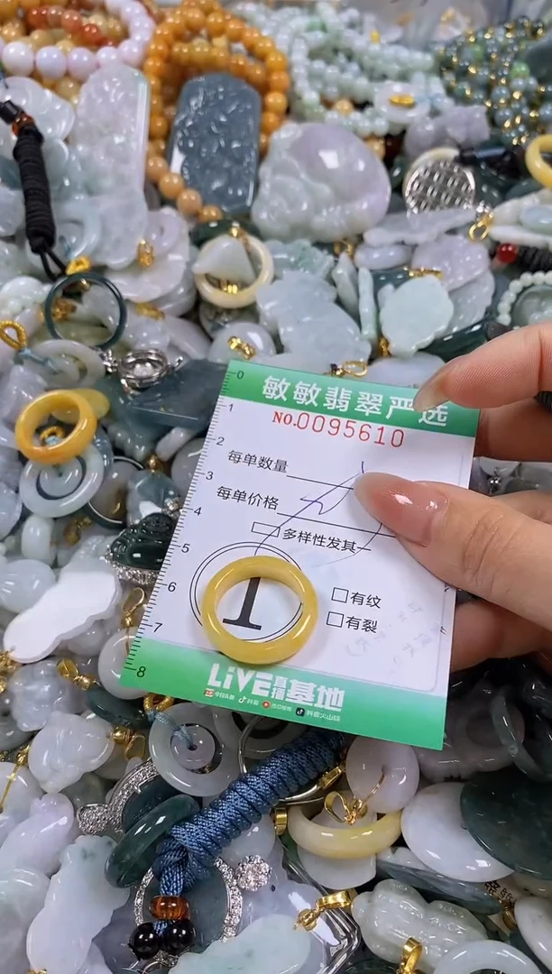 【闪购商品】翡翠颈饰未镶嵌闪购商品0095610多样性发其一