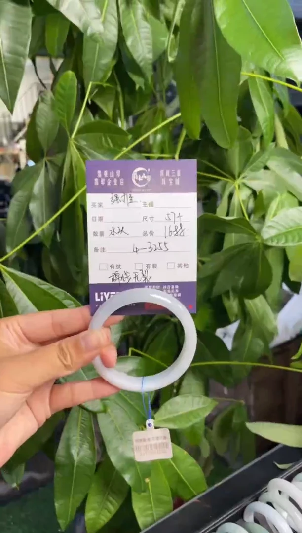 未镶嵌手镯翡翠L 57正圈 3255
