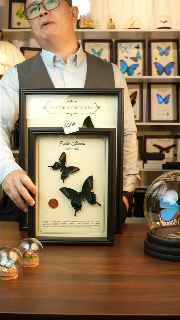 绿带翠凤蝶春+夏款双蝶（A4黑框）A354