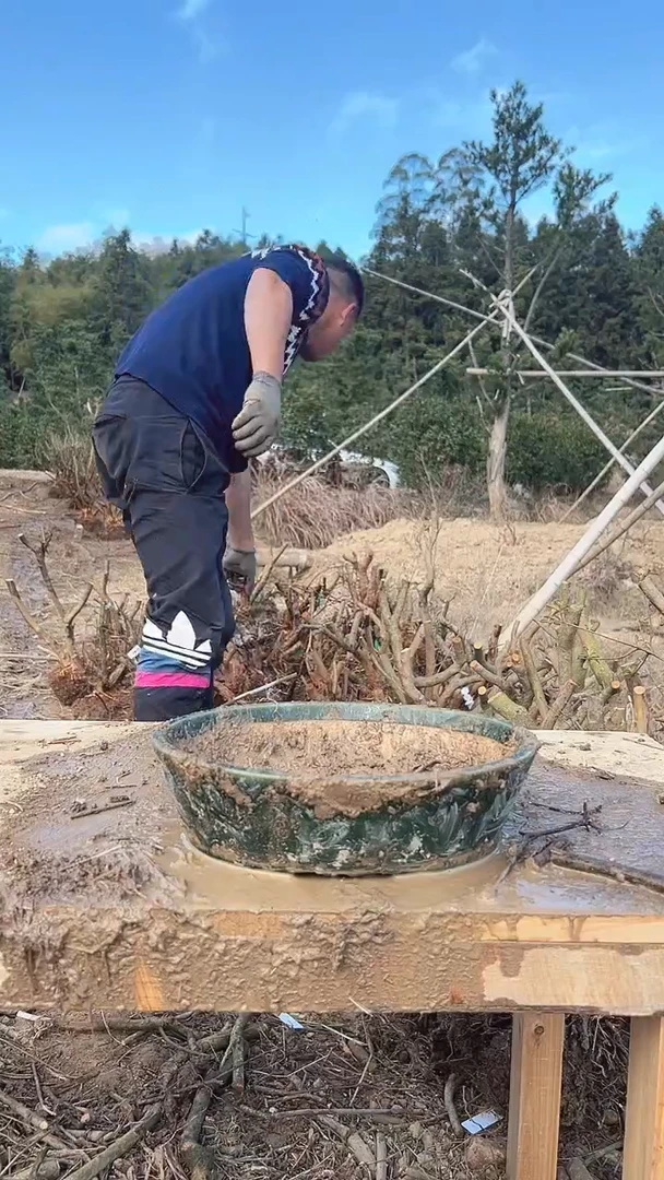 华*亚威杜鹃直播闪购