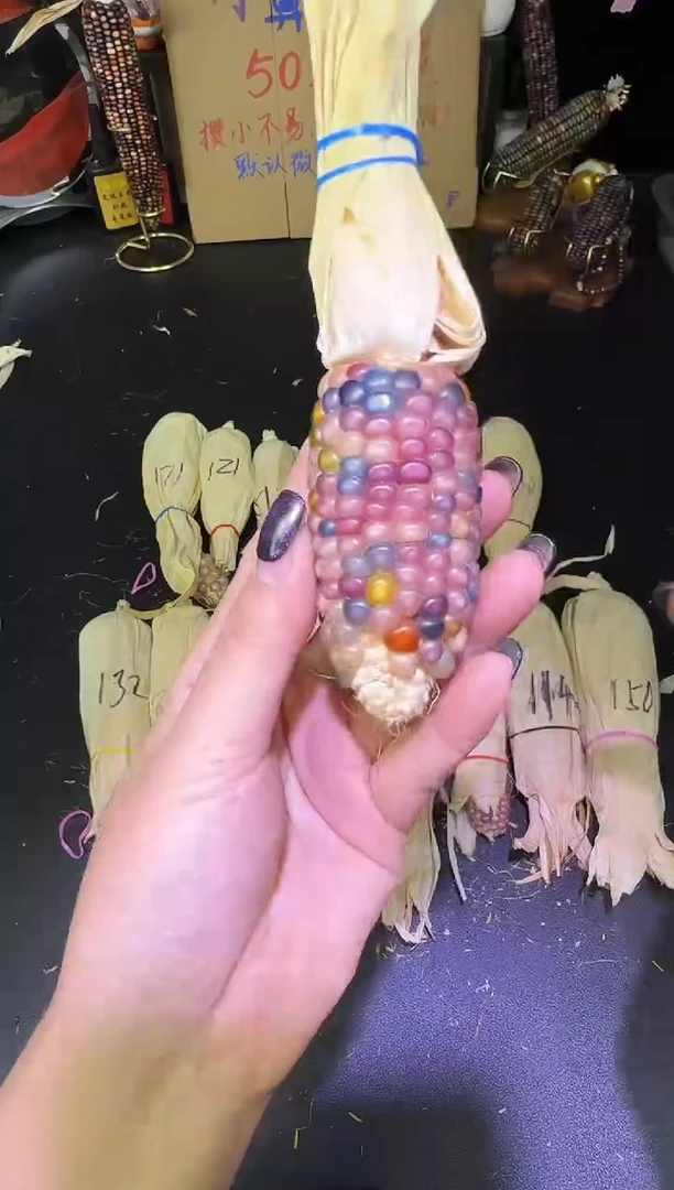 帆*仔哈哈哈红红火火恍恍惚惚