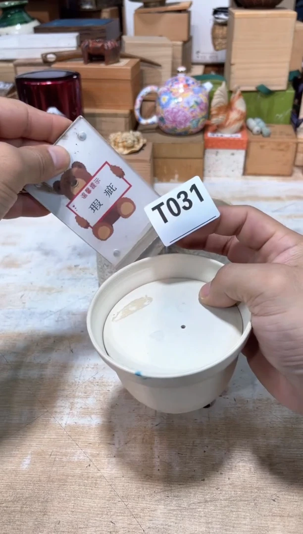 菲*～直播定闪专用链接