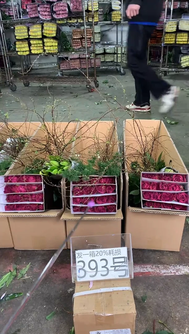 393号♥中通含20%耗损发一箱鲜花