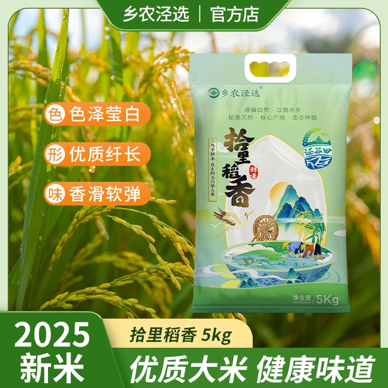 【乡农泾选】泾县大米长粒香米香泉水村好米泾谷田煮粥煮饭5kg