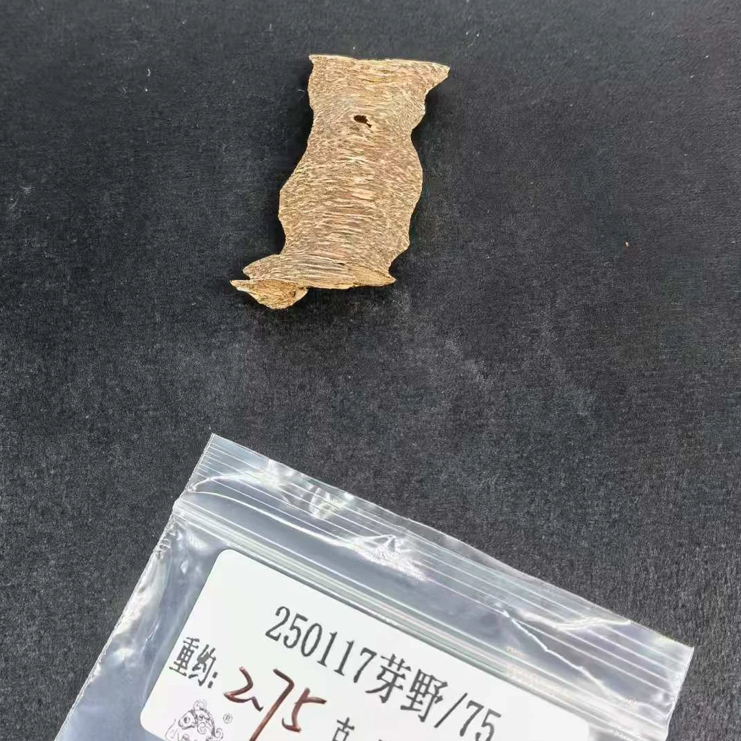 重约2.75克  250117芽野/75（料）天然木艺