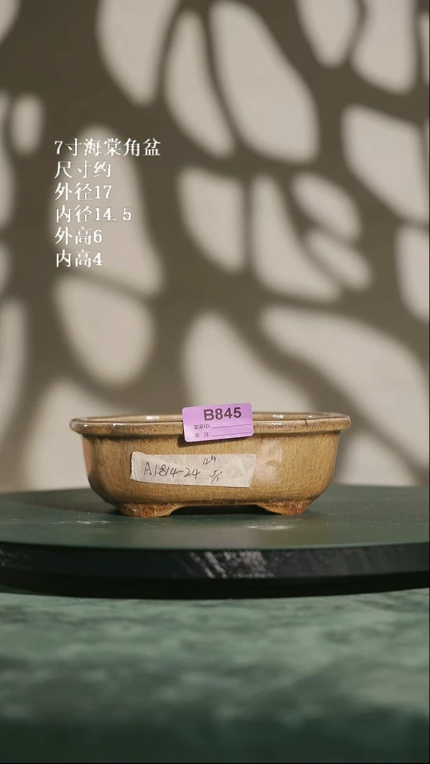 7寸海棠角盆 845