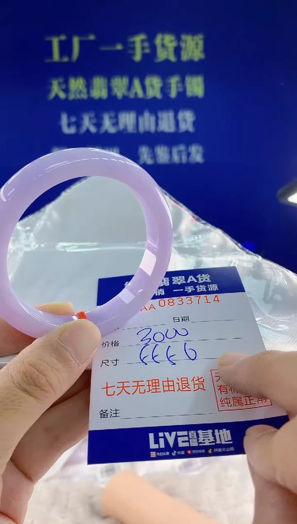 未镶嵌手镯翡翠14