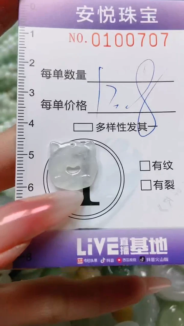 【闪购商品】翡翠颈饰未镶嵌闪购0100707