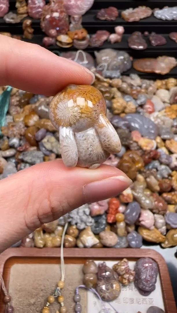 硅化珊瑚（珊瑚玉）未镶嵌颈饰122