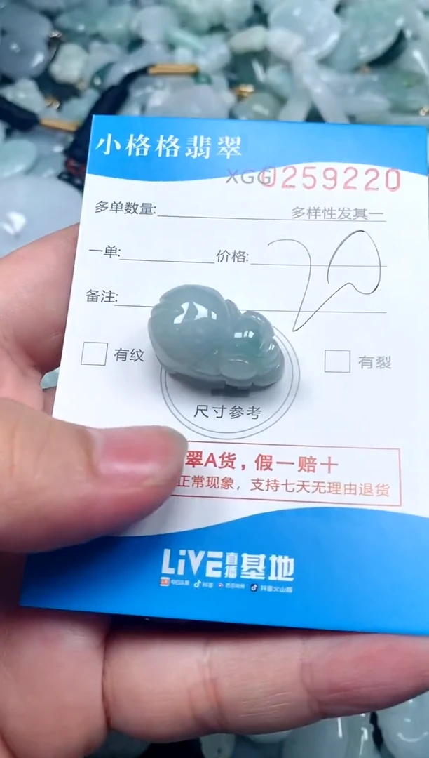 翡翠未镶嵌颈饰闪购商品0259220