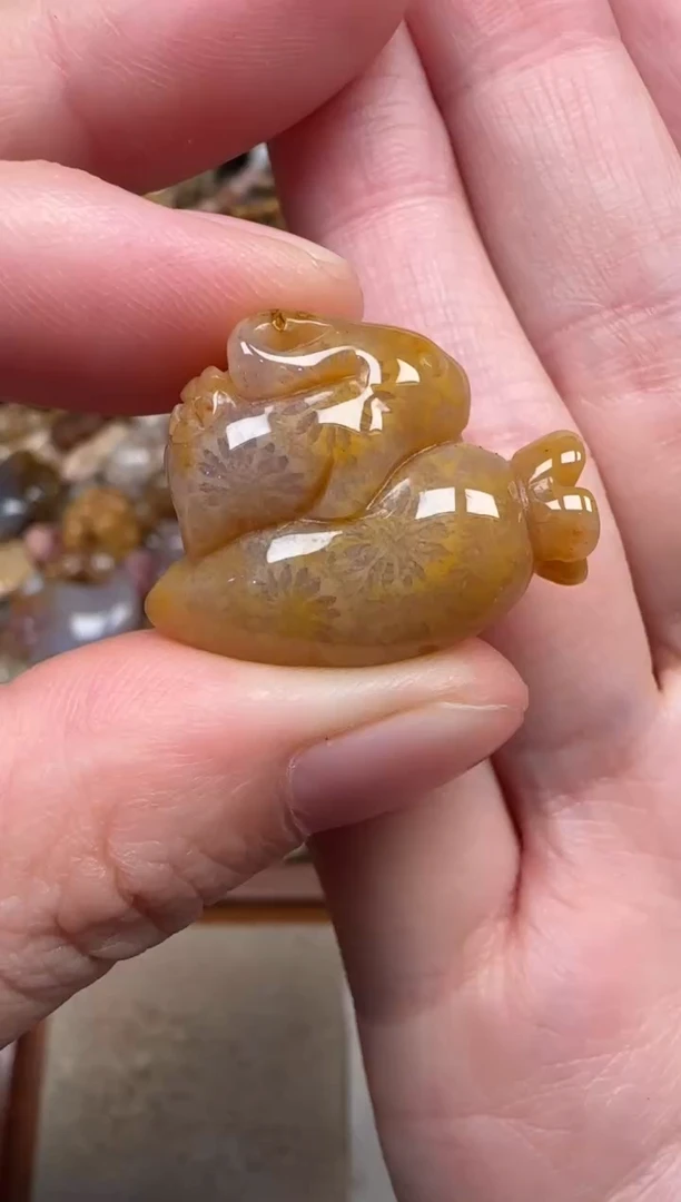 颈饰未镶嵌硅化珊瑚（珊瑚玉）173