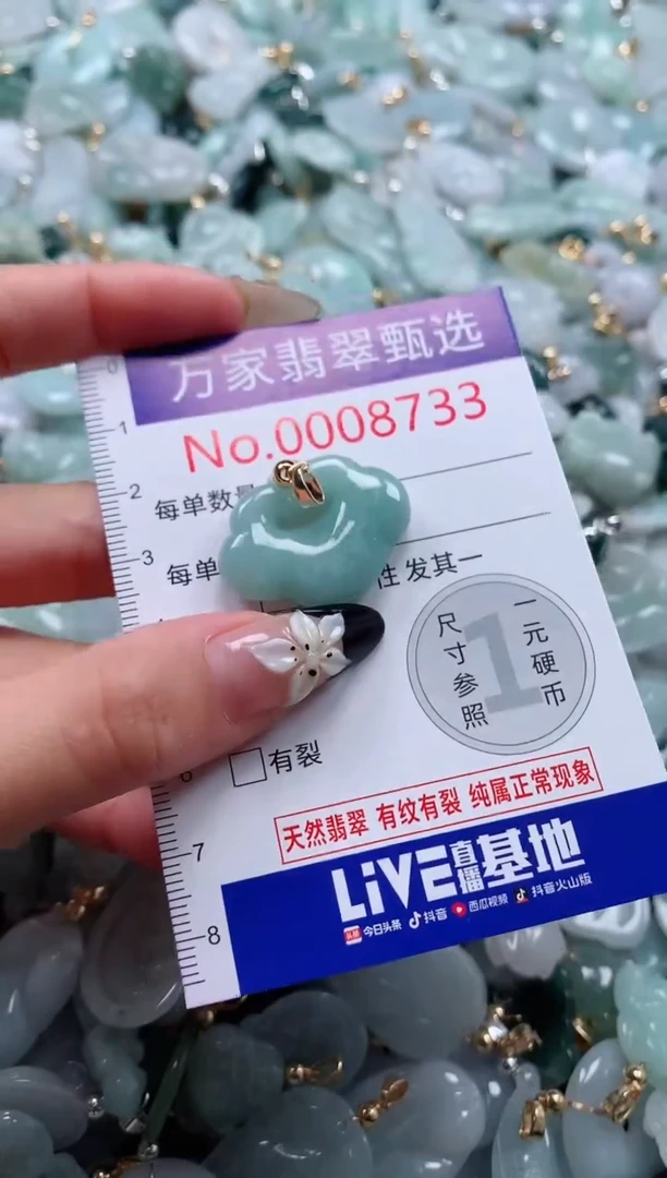 翡翠未镶嵌颈饰8733
