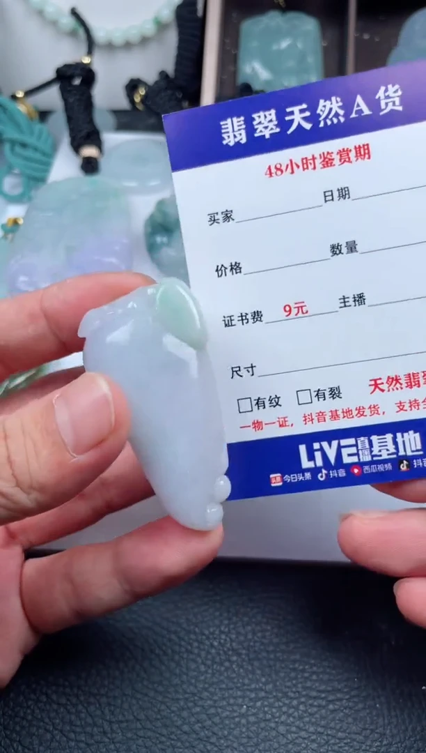 翡翠未镶嵌颈饰