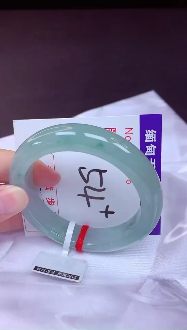 未镶嵌手镯翡翠54（48小时鉴赏期 ）