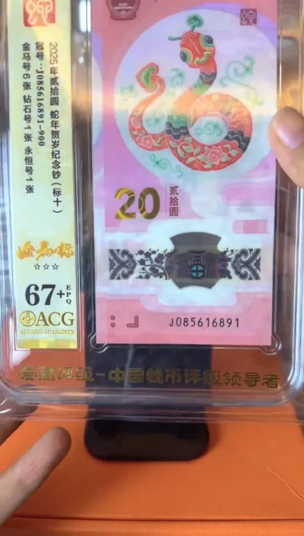 塑料2025 蛇钞 爱藏 标十  啊啊啊啊啊
