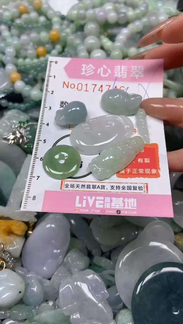 【闪购商品】翡翠颈饰未镶嵌闪购0174746